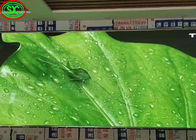Schirm P3 LED farbenreiche LED-Anzeigen-Abendessen-Innenhohe Auflösung für die Werbung