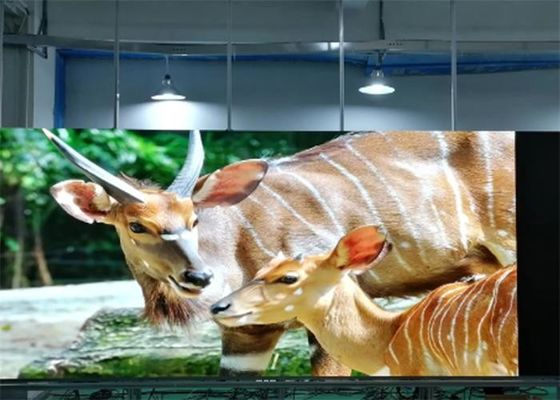 P1.923 Vollfarbiger LED-Innenbildschirm SMD1515 An der Wand befestigte Ultra High Definition