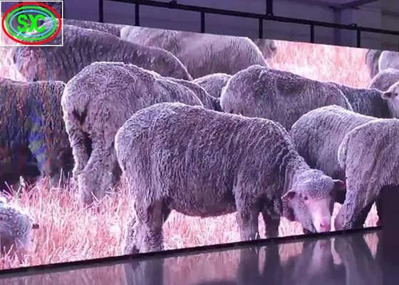 Würfel-Säule führte Schirm-Videowand, geführte Innenableitung der natürlichen Wärme des Schaukasten-P3