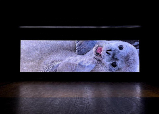 Wasserdichtes und stabiles LED-Display mit einer Helligkeit von 1500 cd/m2 und einem Blickwinkel von 120° für eine optimale Bildschirmleistung