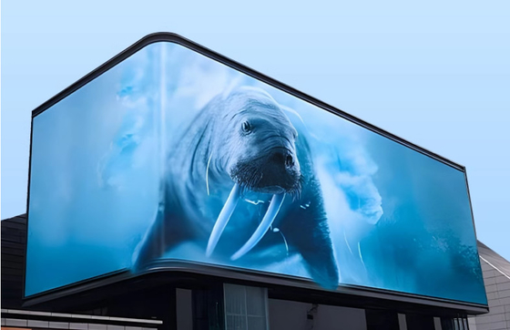CE Rohs P6 Led Panel Screen Indoor Led Display Billboard für Stadtwerbung