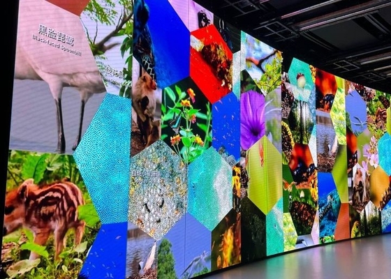 LED-Soft-Screen Flexible-Screen kann gebogen werden und eignet sich für verschiedene Formen von Display-Bildschirmen