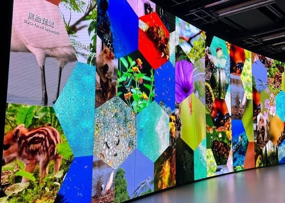 Druckguss Aluminium Vermietung Bildschirm anpassbar Tagungsraum Kirche HD Flexible LED-Display-Bildschirm