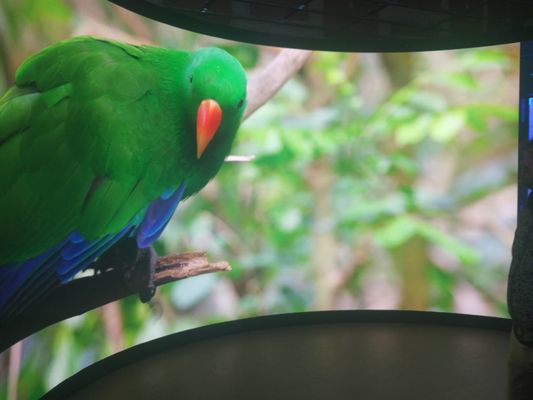 Aluminiumschrank P5 mit fester LED-Anzeige für anpassbare Hinterseiten-Wartung