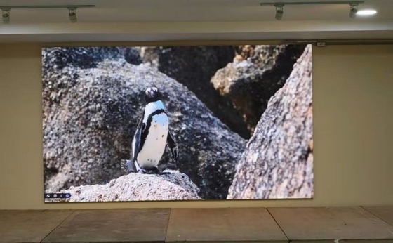 P1.667 Lease RGB LED Monitor NOVA System hohe Erfrischungsrate HD ohne Schatten ziehen