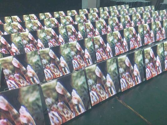 Miete-LED-Anzeigen-wasserdichte Stadiums-Schirm-Hintergrund-Wand im Freien 6500K-9500K