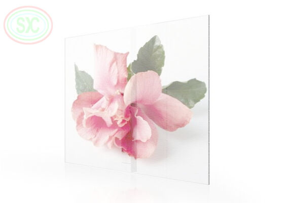 Indoor Commercial Glass Mesh Transparent LED-Bildschirm P3.91-7.82 Vollfarbe
