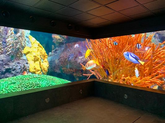 P5 Außenwerbung LED-Gekrümmter Bildschirm SMD2121, Helligkeit 2500 Nits