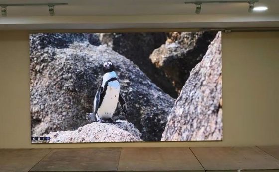 Guter Preis 1000 Nits Helligkeit GOB LED-Display mit Epistar LED-Chip und 500x500MM Gehäusegröße, geeignet für Großveranstaltungen Online