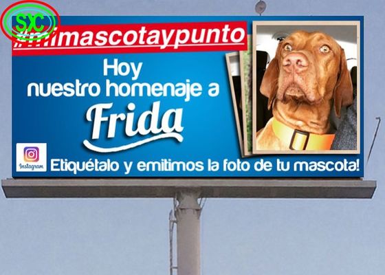 Die-Guss-Aluminium-Bildschirm Eisenbox / Vermietung kommerzielle freistehende Outdoor-Full-Colour-LED-Display für Straßen- und Supermarktwerbung