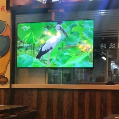 Guter Preis Indoor Wasserdichtes 1R1G1B LED-Modul 300*168,75 mm für beeindruckende und wirkungsvolle Werbedisplays Online