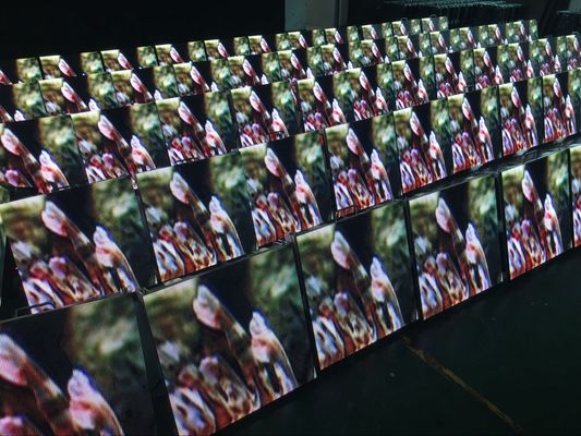 Miete-LED-Anzeigen-wasserdichte Stadiums-Schirm-Hintergrund-Wand im Freien 6500K-9500K