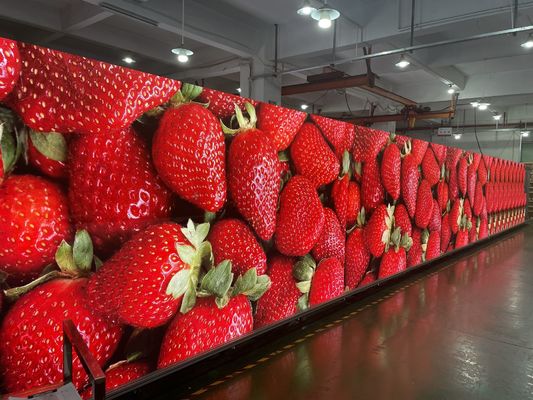 Guter Preis Beste Qualität P4 Indoor 512x512 Hintergrund Miet Led Display Bildschirm mit 3840hz Auffrischungsrate Online